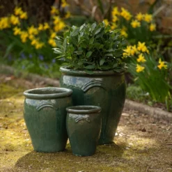Glazed Terracotta Tulip Pot - Misty Green -Deals Green4Ever Store pr2000046304 card6 lg