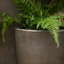 Glazed Terracotta Long Tom Pot - Matt Charcoal -Deals Green4Ever Store pr2000046307 card2 lg