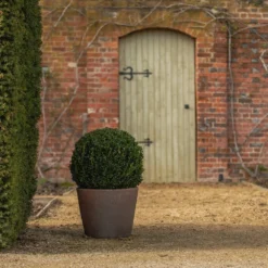 Tapered Terracotta Pot - Sandblasted -Deals Green4Ever Store pr2000046314 card6 lg