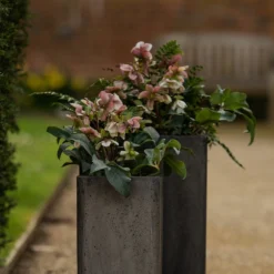 Tall Cement Cube Pot - Waxed -Deals Green4Ever Store pr2000046318 card7 lg