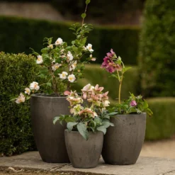 Cement Pot - Waxed 7 Cement Pot - Waxed -Deals Green4Ever Store pr2000046322 card2 lg