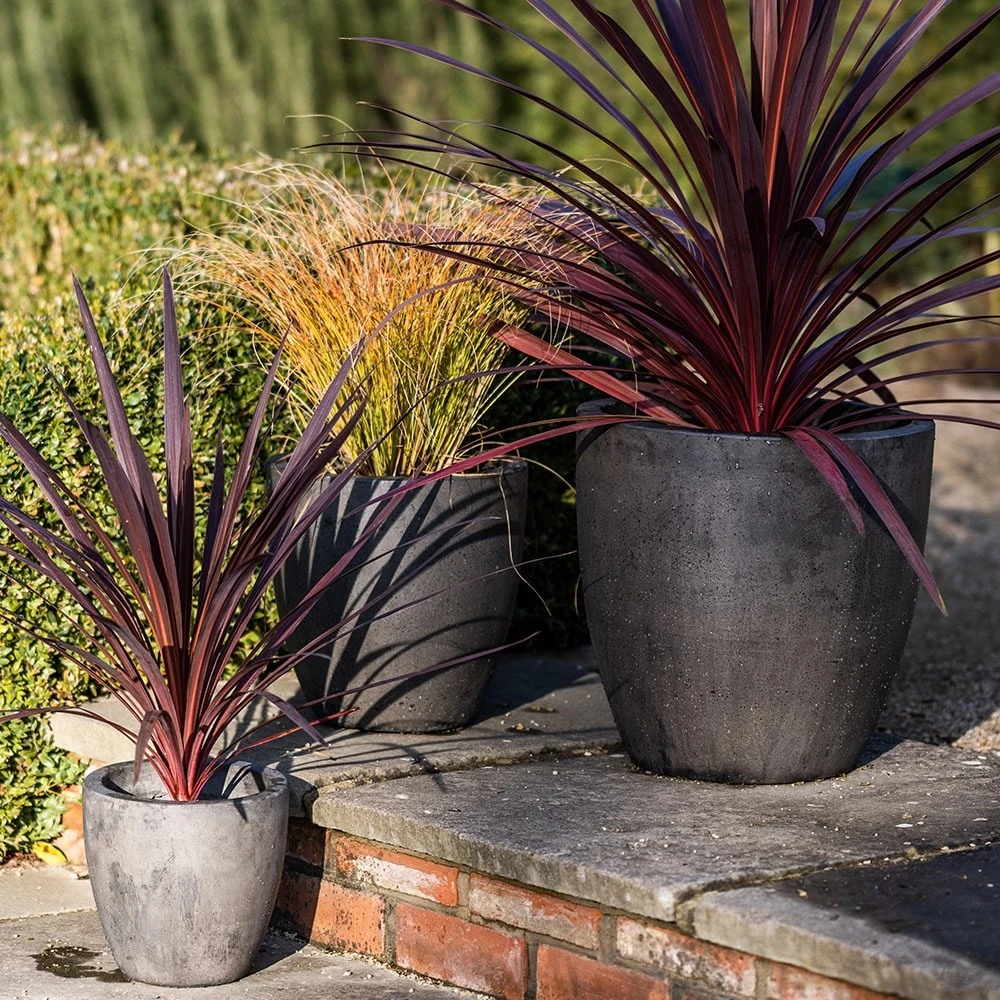 Cement Pot - Waxed 5 Cement Pot - Waxed - Image 5