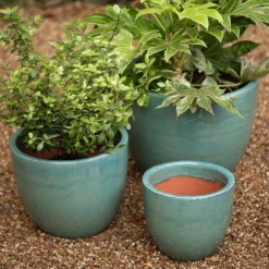 Glazed Terracotta Pot - Reef Blue -Deals Green4Ever Store pr2000046329 card4 lg