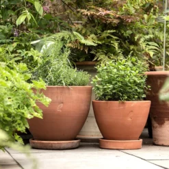 Terracotta Herb Pot And Saucer - Small -Deals Green4Ever Store pr2000046524 card4 lg