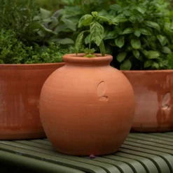 Terracotta Erigeron Pot - Small -Deals Green4Ever Store pr2000046529 card3 lg