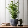 Ribbed Terracotta Plant Pot - Dark Grey