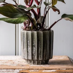 Scalloped Reactive Plant Pot - Green -Deals Green4Ever Store pr2000047910 card3 lg