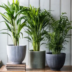 Ribbed Terracotta Plant Pot - Light Grey -Deals Green4Ever Store pr2000047914 card3 lg