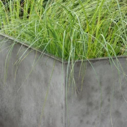 Rectangular Terrace Planter - Weathered Cement -Deals Green4Ever Store pr2000048710 card4 lg