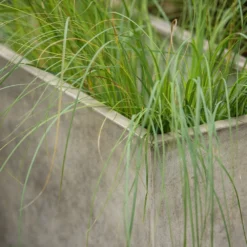 Rectangular Terrace Planter - Weathered Cream -Deals Green4Ever Store pr2000048714 card6 lg