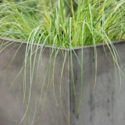 Square Terrace Planter - Weathered Cement -Deals Green4Ever Store pr2000048722 card5 lg