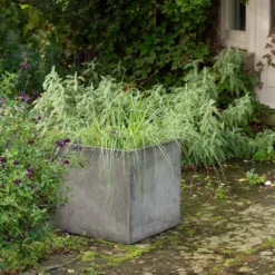 Square Terrace Planter - Weathered Cement -Deals Green4Ever Store pr2000048722 card7 lg