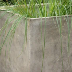 Square Terrace Planter - Weathered Cream -Deals Green4Ever Store pr2000048723 card5 lg