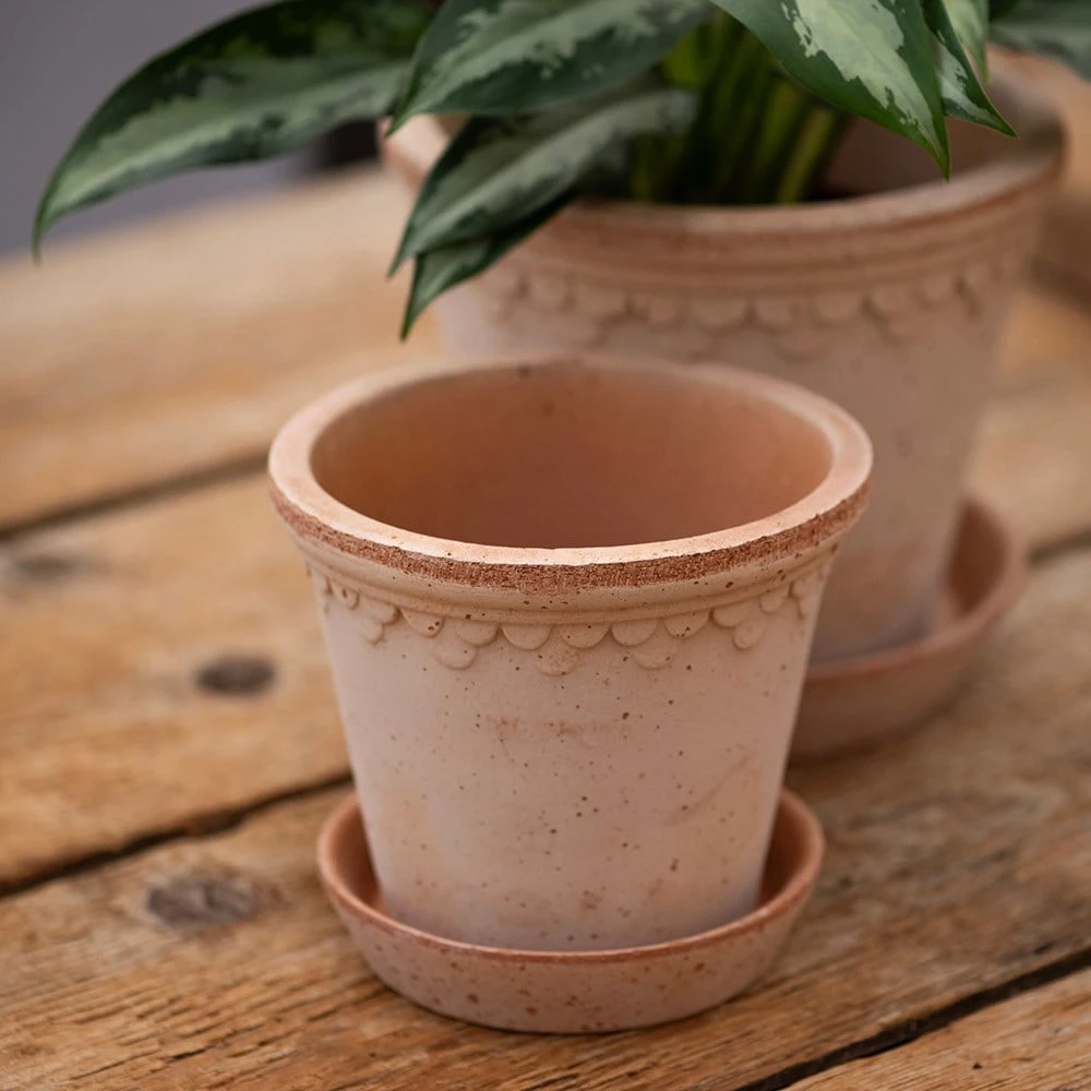 Scalloped Tapered Plant Pot With Saucer - Terracotta 2 Scalloped Tapered Plant Pot With Saucer - Terracotta - Image 2