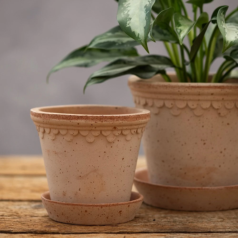 Scalloped Tapered Plant Pot With Saucer - Terracotta 4 Scalloped Tapered Plant Pot With Saucer - Terracotta - Image 4