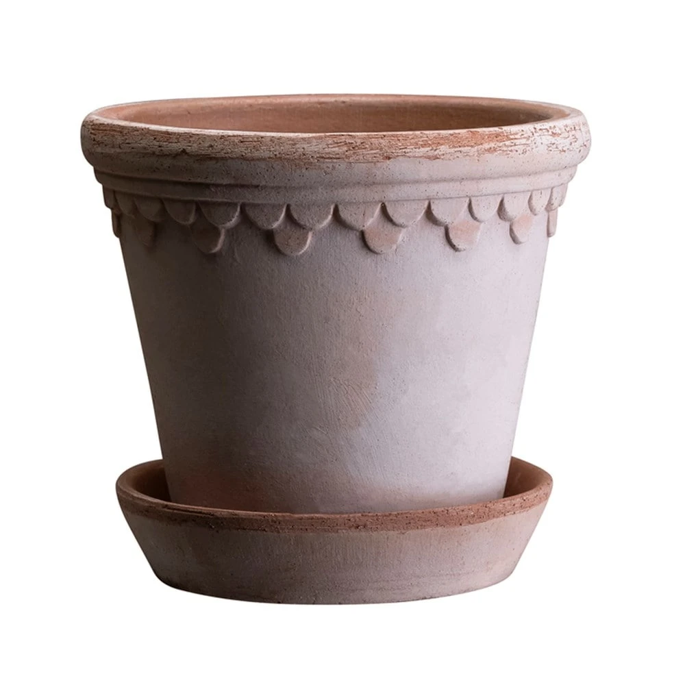 Scalloped Tapered Plant Pot With Saucer - Terracotta 5 Scalloped Tapered Plant Pot With Saucer - Terracotta - Image 5